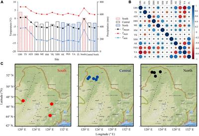 Divergent response of Pinus pumila growth to climate warming at different latitudes and in different simulation predictions